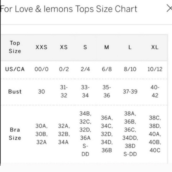 New!For Love and Lemons Love Potion Hearts Bra and Matching Garter Belt - Picture 16 of 16